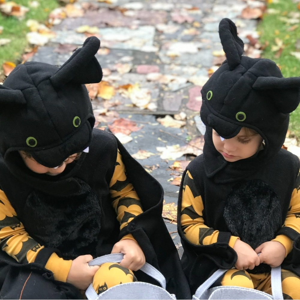 Pottery barn Kids Bat Costume
